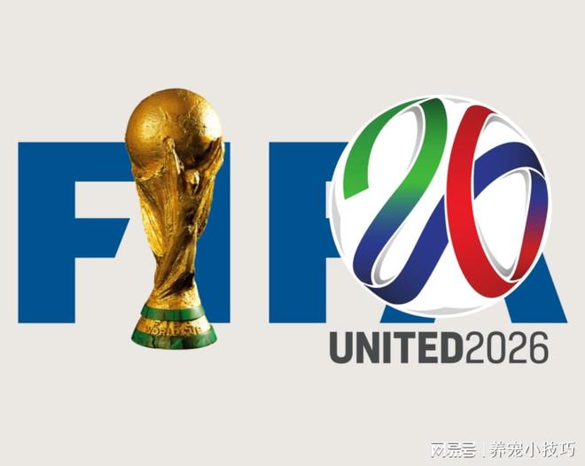 壹号-风云突变波士顿凯尔特人加时末段单刀错失，国王杯版图或变，赛场秩序良好，球队文化再被提及的简单介绍