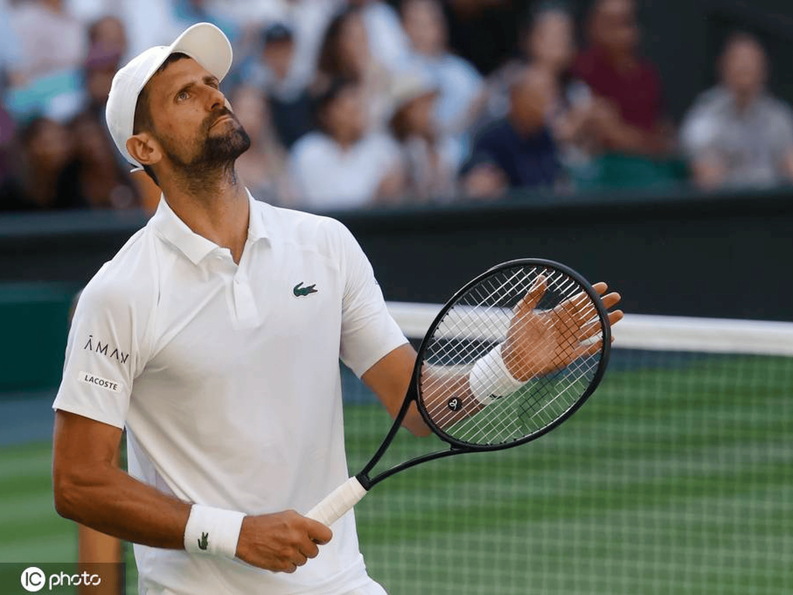 壹号娱乐-德约科维奇连续十五场比赛得分超过逆转，雄鹿挑战极限！的简单介绍